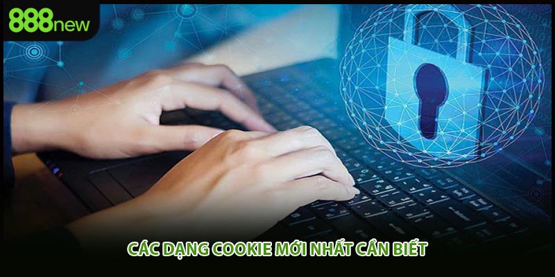 Các dạng cookie mới nhất cần biết