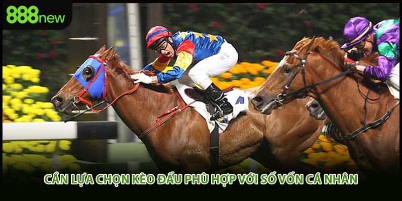 Cần lựa chọn kèo đấu phù hợp với số vốn cá nhân